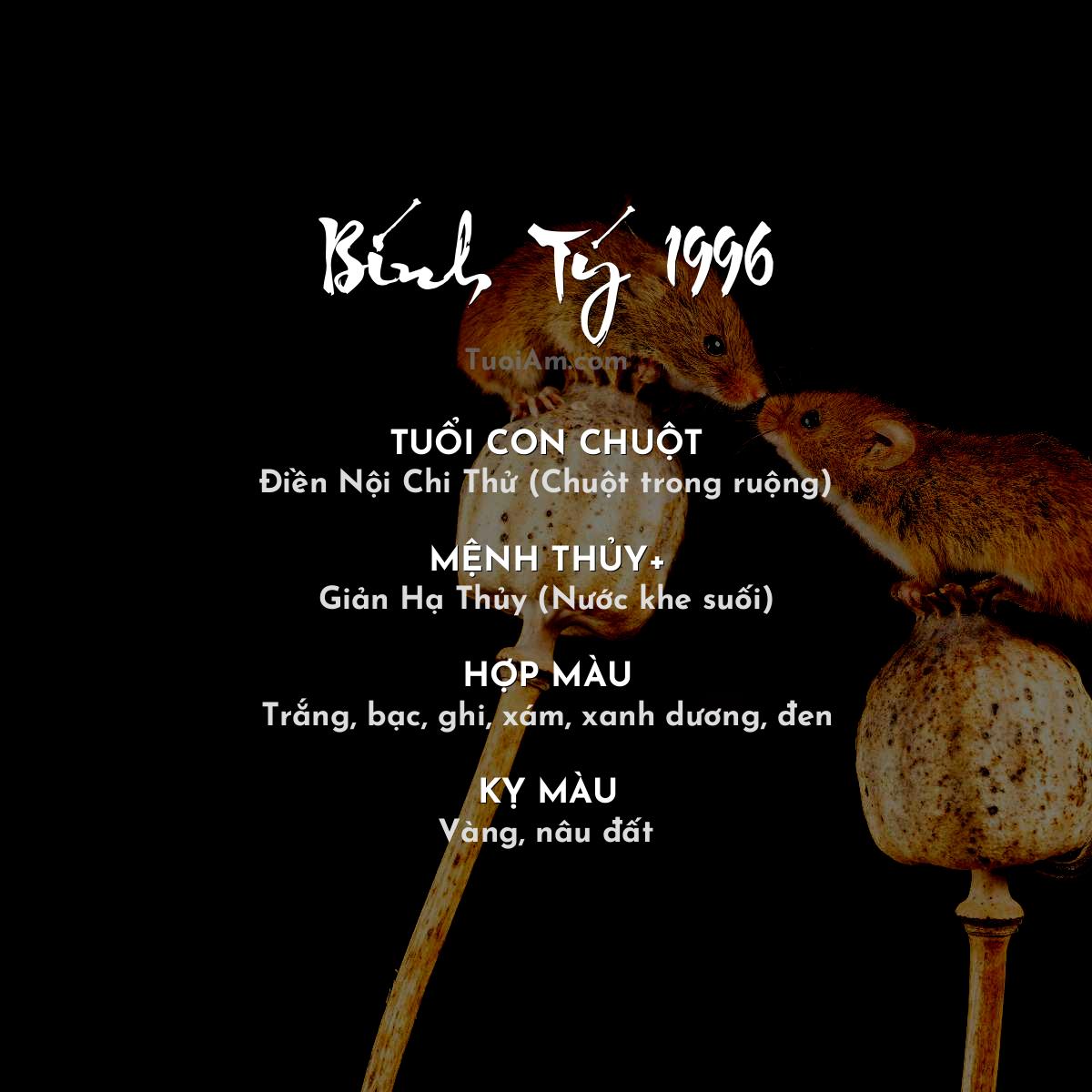 Tuổi Bính Tý 1996