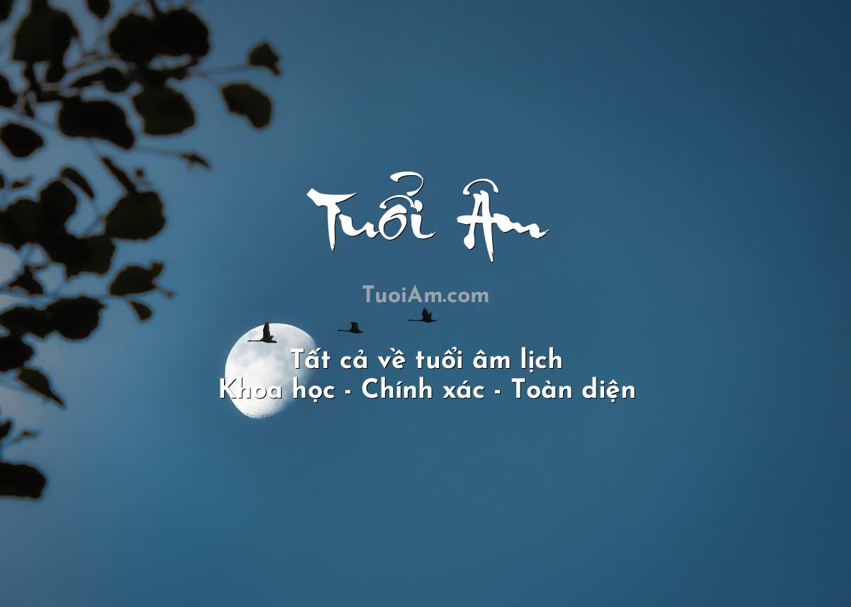 Sinh 1931 Tuổi Gì - Tìm Hiểu Vận Mệnh, Tính Cách và Cuộc Đời Người Sinh Năm 1931